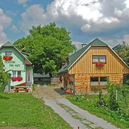 A Drevenica Pri Hati Guest house Terchova