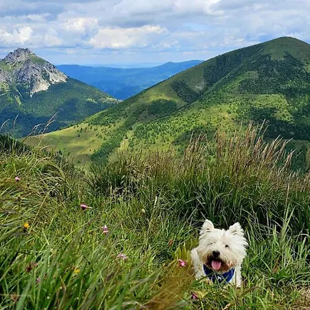A Drevenica Pri Hati Vendégház 3*
