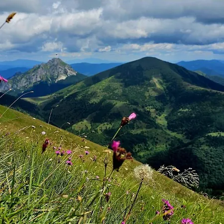 A Drevenica Pri Hati 3* Terchová