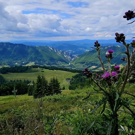 A Drevenica Pri Hati Tierchowa