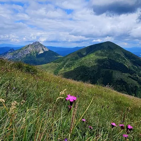 A Drevenica Pri Hati Casa de hóspedes