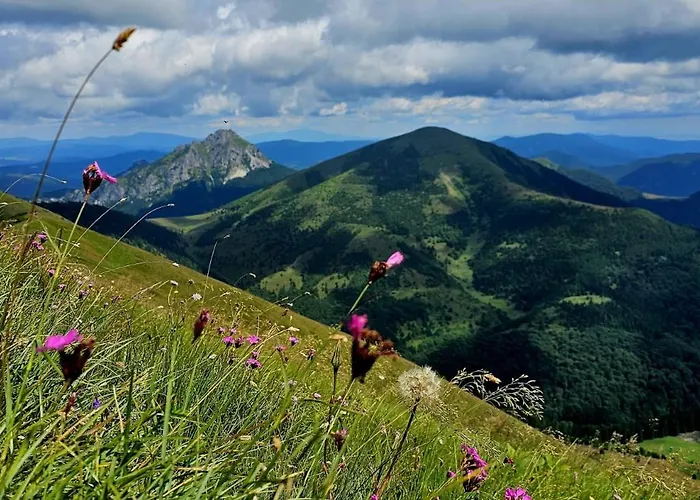 A Drevenica Pri Hati 3* Terchová